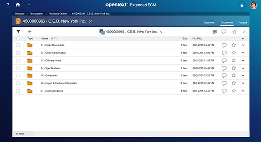Screenshot of Documentum content appearing in the SAP user interface