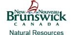 Government of New Brunswick, Department of Natural Resources logo